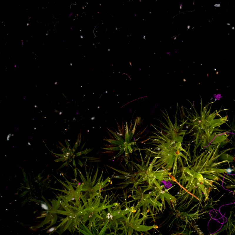 Titel: Lost in digital hyper music -  Code: Symphonic X1 - LdwgvBthvn